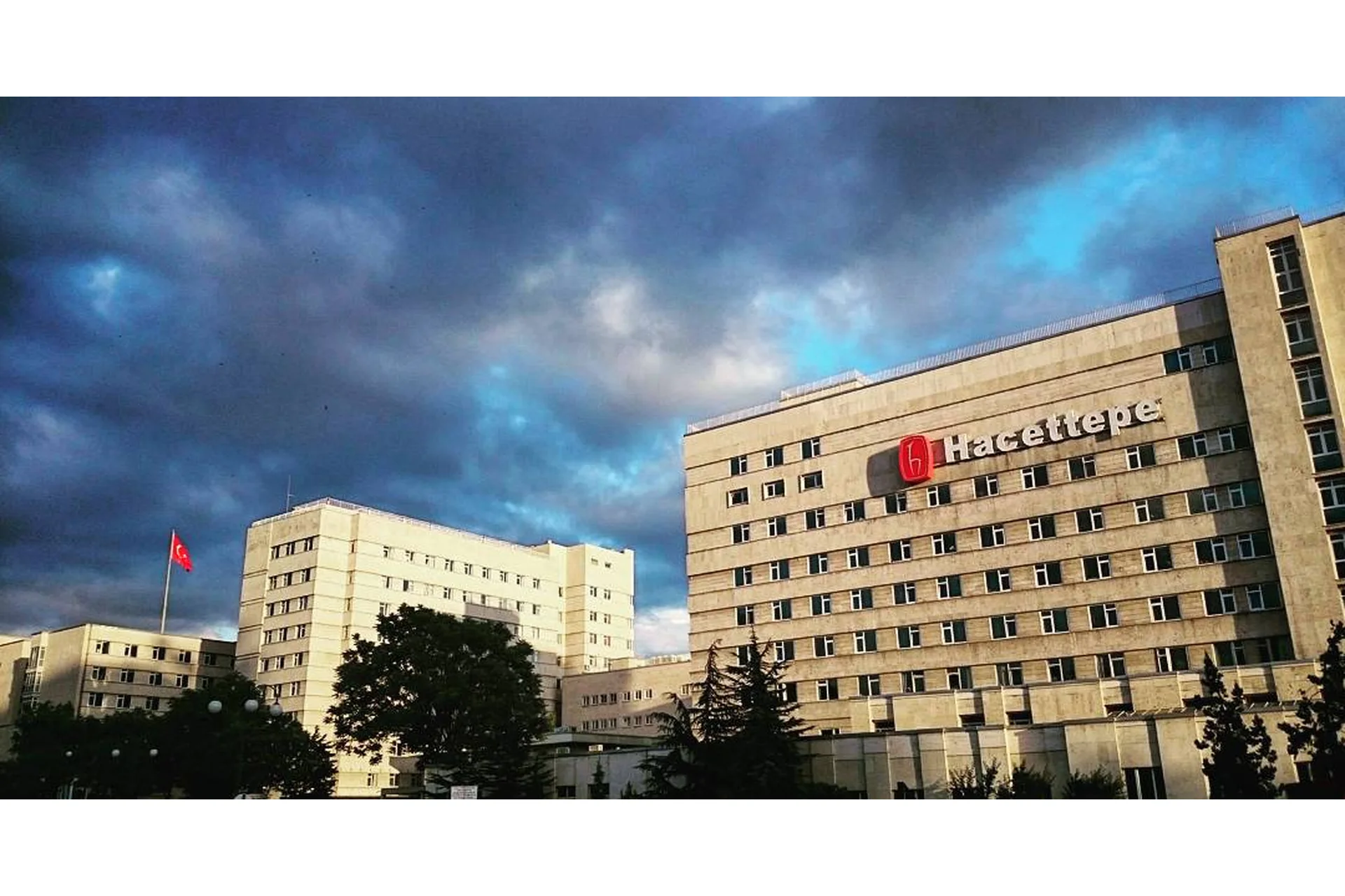 Hacettepe University