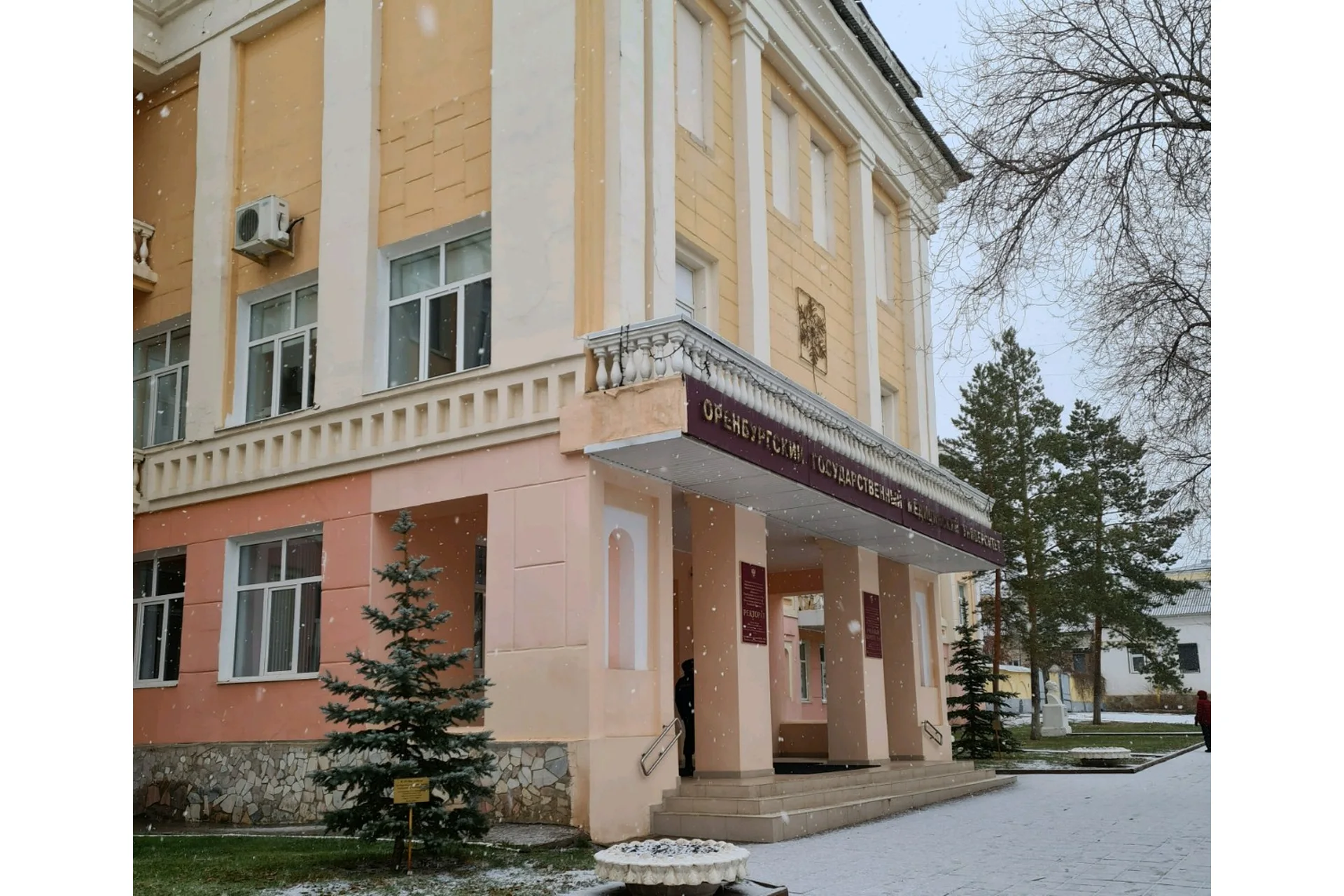 Orenburg State Medical University