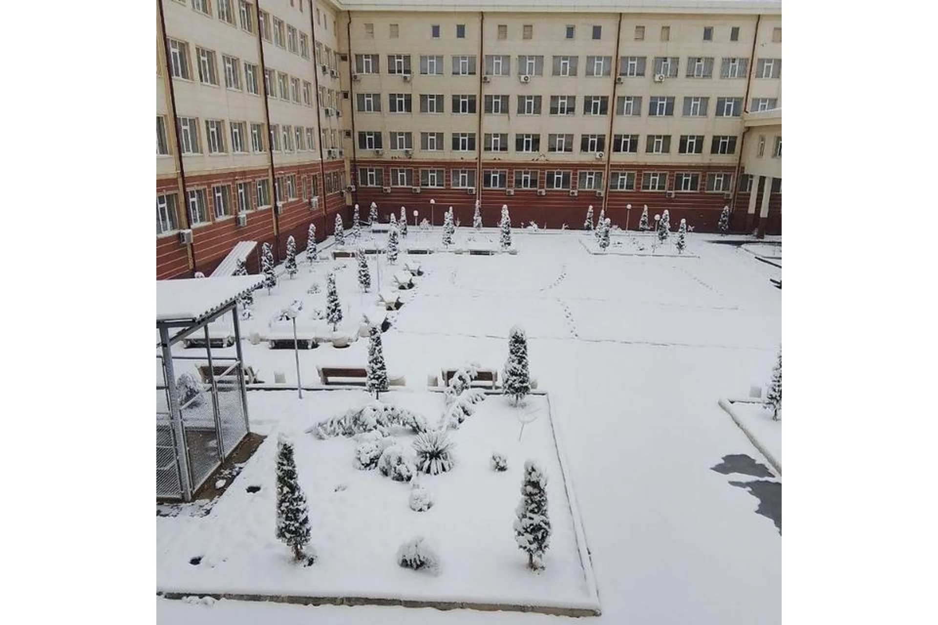 Tashkent Pediatric Medical Institute
