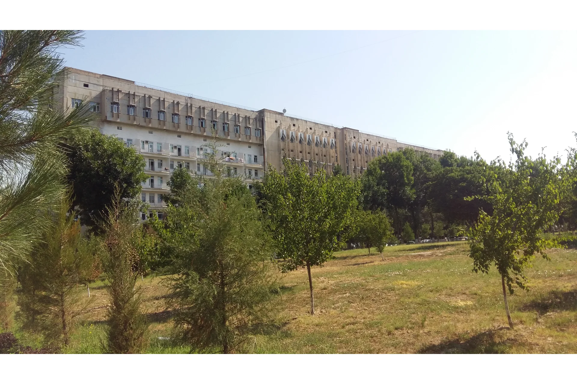 Tashkent State Medical University