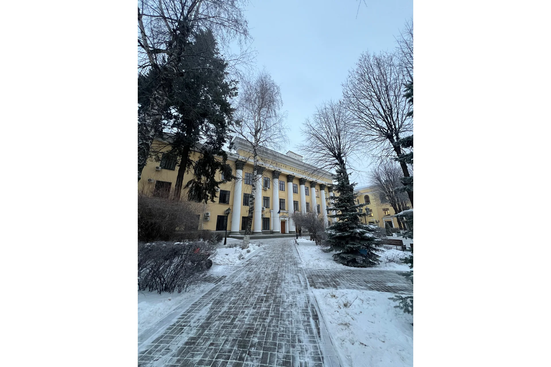Voronezh State Medical University (Burdenko)